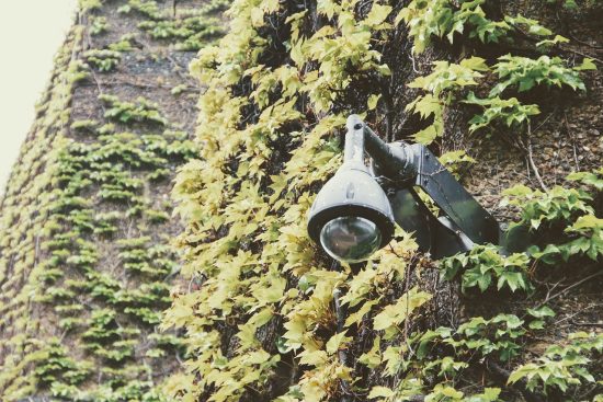 découvrez notre sélection de caméras de surveillance haut de gamme pour assurer la sécurité de votre maison ou de votre entreprise. profitez de fonctionnalités avancées telles que la vision nocturne, l'enregistrement hd et l'accès à distance. protégez ce qui compte le plus avec nos solutions de surveillance fiables et faciles à utiliser.