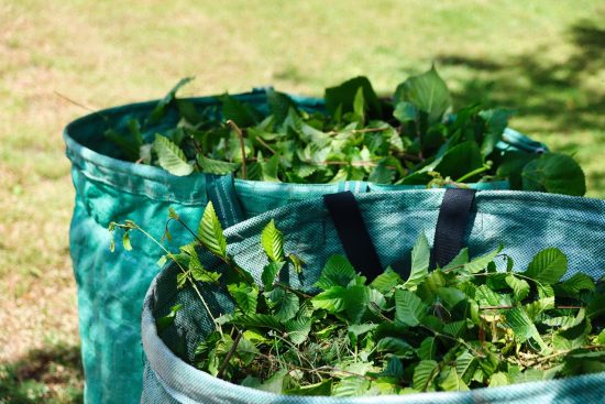 découvrez l'art du compostage et transformez vos déchets organiques en un engrais naturel enrichissant pour votre jardin. apprenez les techniques essentielles et les avantages écologiques du compostage, tout en contribuant à réduire votre empreinte carbone.