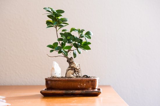 découvrez l'art de vivre en bord de mer avec des conseils sur la décoration, le style de vie et les tendances côtières. plongez dans un univers apaisant et inspirant où le sable et l'océan se rencontrent.