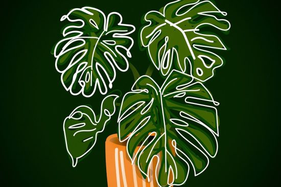 découvrez le monde fascinant des plantes d'intérieur ! apprenez comment choisir, entretenir et profiter de ces véritables alliées pour égayer votre espace de vie et améliorer votre bien-être.