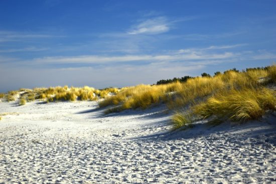 découvrez le style côtier, une esthétique inspirée par la mer, avec ses couleurs douces, ses matériaux naturels et son ambiance apaisante. transformez votre intérieur en un havre de paix marine, parfait pour créer une atmosphère relaxante et accueillante.