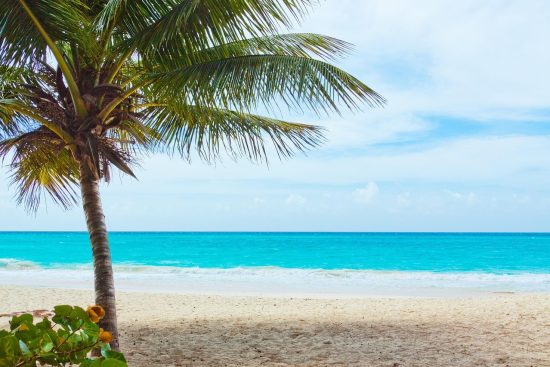 découvrez les trésors envoûtants des caraïbes, un véritable paradis tropical aux plages de sable fin, aux eaux cristallines et à la culture vibrante. explorez les îles, savourez la gastronomie locale et laissez-vous charmer par la chaleur des habitants.