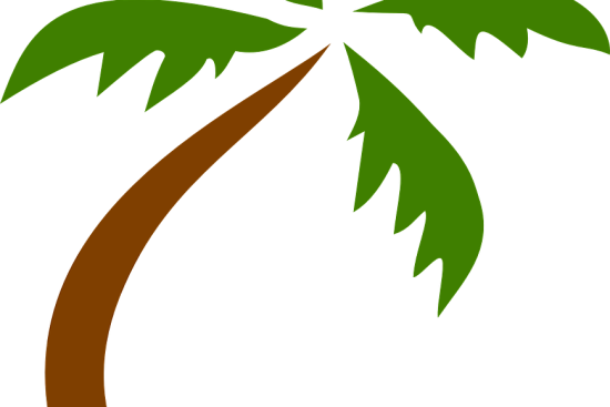 découvrez des idées de décoration hawaïenne pour apporter une ambiance tropicale et chaleureuse à votre intérieur. plantes exotiques, motifs colorés et accessoires inspirés des îles transformeront votre espace en un véritable paradis.