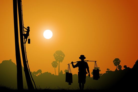 découvrez la richesse de la culture khmère, ses traditions, sa cuisine savoureuse et son histoire fascinante. explorez les trésors du cambodge et plongez dans l'univers vibrant du peuple khmer.