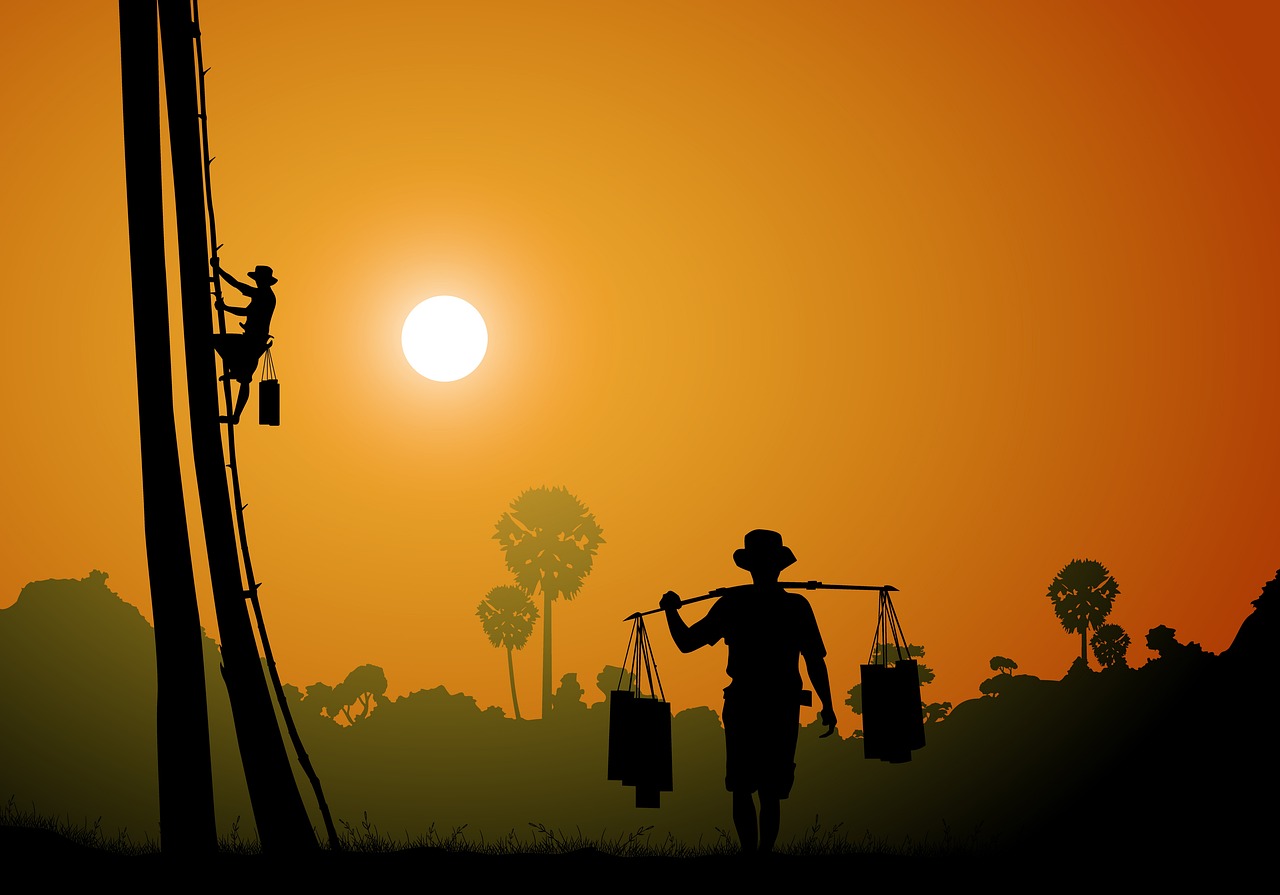 découvrez la richesse de la culture khmère, ses traditions, sa cuisine savoureuse et son histoire fascinante. explorez les trésors du cambodge et plongez dans l'univers vibrant du peuple khmer.