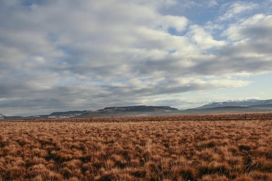 découvrez l'univers fascinant de la pampa, cette vaste plaine d'argentine, riche en biodiversité et en paysages à couper le souffle. explorez ses traditions culturelles, sa faune unique et ses activités de plein air, tout en vous imprégnant de la beauté naturelle de ce territoire emblématique.