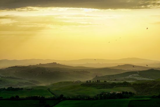 découvrez les richesses et la diversité des pays à travers le monde. informations, cultures, traditions et paysages uniques vous attendent pour un voyage inoubliable.