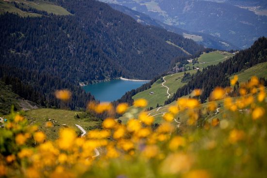 découvrez savoie décor, votre référence en décoration intérieure inspirée par les paysages alpins. transformez votre espace avec des accessoires uniques et des designs authentiques qui capturent l'essence de la savoie.